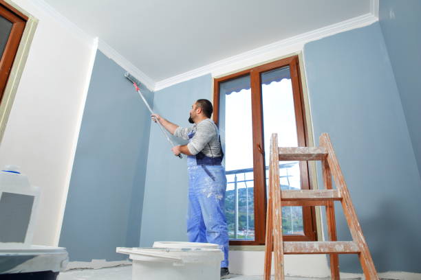 Best Comprehensive Air Testing for Mold Contaminants  in Ironton, MO