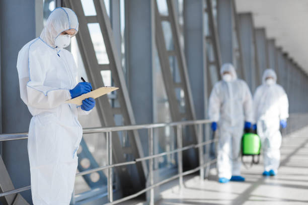 Reliable Ironton, MO Mold Removal Solutions