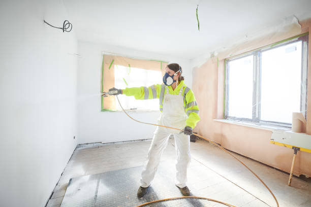 Best Mold Remediation for Healthcare Facilities  in Ironton, MO