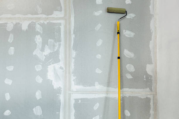 Best Mold Prevention Services  in Ironton, MO