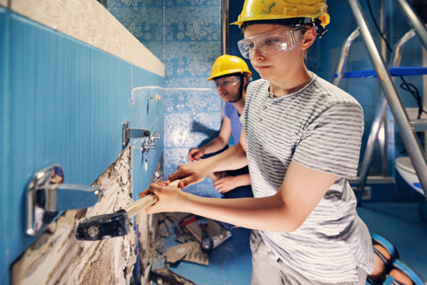 Best Attic Mold Removal  in Ironton, MO