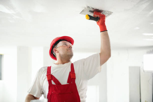 Best Basement Mold Removal  in Ironton, MO