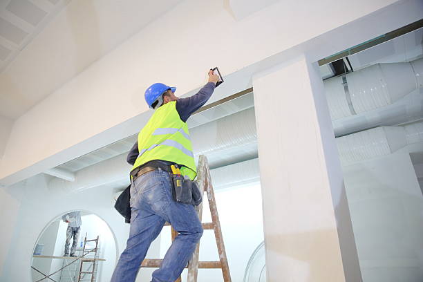 Best Forensic Mold Investigation  in Ironton, MO