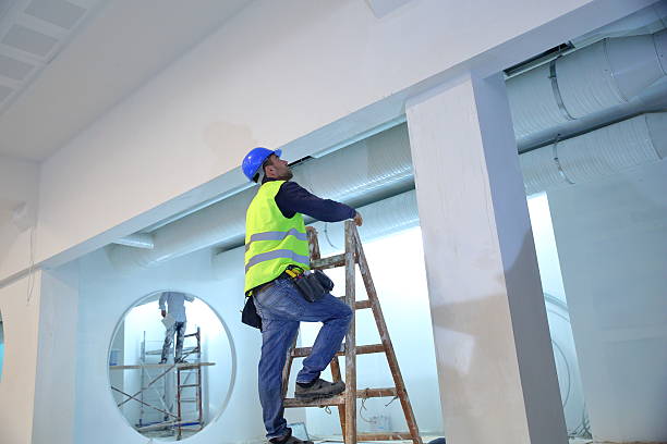 Best Mold Remediation for Healthcare Facilities  in Ironton, MO