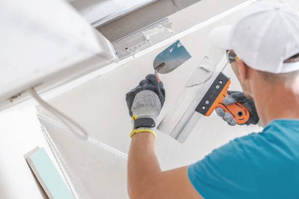 Best Industrial Mold Remediation  in Ironton, MO